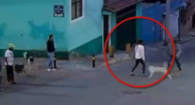 Hieren a mujer con un machete tras defender a unos perros callejeros.