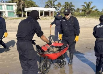 Han recolectado más de 700 toneladas de contaminante, tras derrame de crudo en el Golfo de México