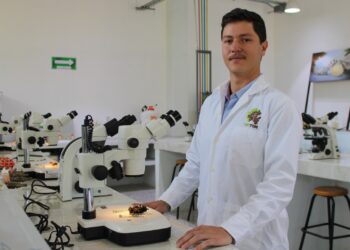 UPFIM abre convocatoria de ingreso 2026