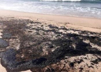 Derrame de petróleo contamina 170 km de costas entre Veracruz y Tabasco