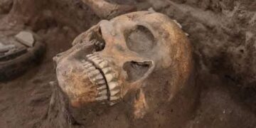 Descubren altar tolteca durante obras del tren México-Querétaro en Tula, Hidalgo