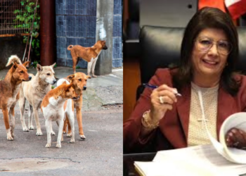 Mariela Gutiérrez sacrificó más de 10 mil perros en Tecámac (VIDEO).