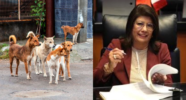 Mariela Gutiérrez sacrificó más de 10 mil perros en Tecámac (VIDEO).