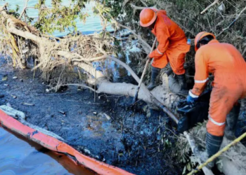 Recolectan 889 toneladas de hidrocarburo tras derrame en Golfo de México.