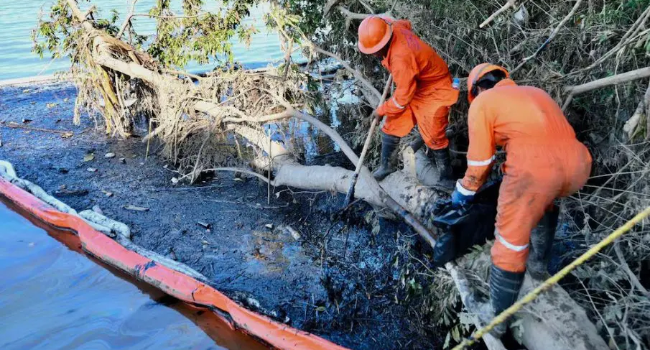 Recolectan 889 toneladas de hidrocarburo tras derrame en Golfo de México.