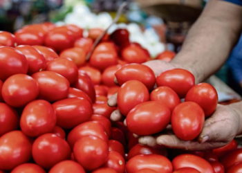 Precio del jitomate se dispara 126% y encarece la canasta básica.