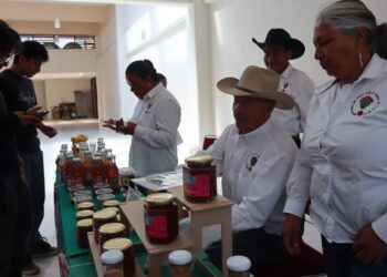 UTVM reúne a especialistas y productores para reactivar cadena del maguey