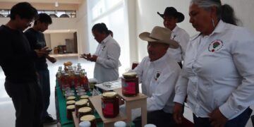 UTVM reúne a especialistas y productores para reactivar cadena del maguey