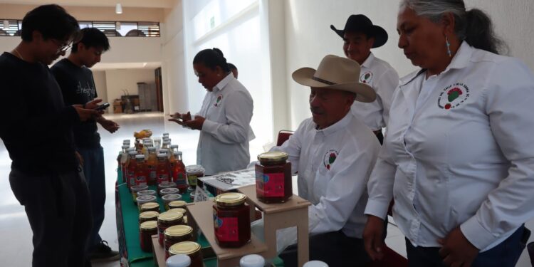 UTVM reúne a especialistas y productores para reactivar cadena del maguey