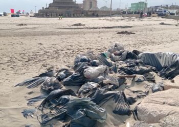 Denuncian abandono de bolsas con chapopote en playas de Veracruz