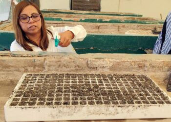 Desarrollan ITESHU y CBTA 179 proyectos para mejorar cultivos en el Valle del Mezquital