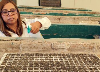 Desarrollan ITESHU y CBTA 179 proyectos para mejorar cultivos en el Valle del Mezquital