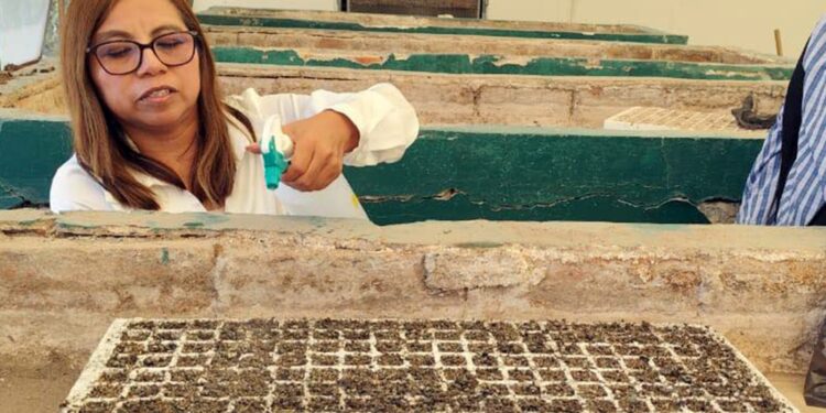 Desarrollan ITESHU y CBTA 179 proyectos para mejorar cultivos en el Valle del Mezquital