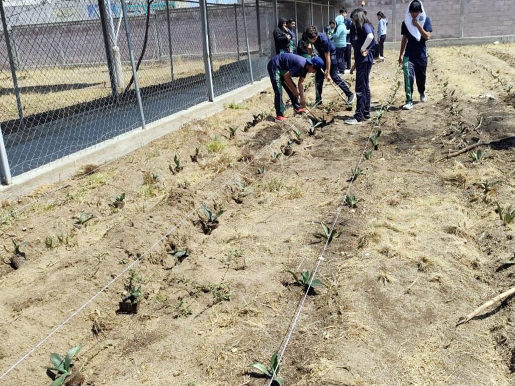 Desarrollan ITESHU y CBTA 179 proyectos para mejorar cultivos en el Valle del Mezquital