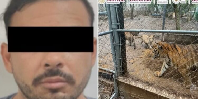 Capturan a José Antonio “N”, líder de célula del Cártel del Noroeste