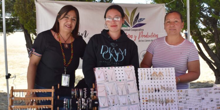 ITESA impulsa economía social con participación en red estatal NODESS