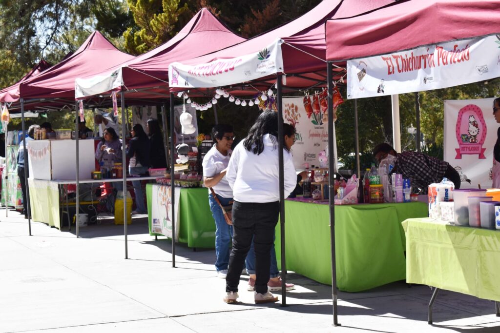 ITESA impulsa economía social con participación en red estatal NODESS