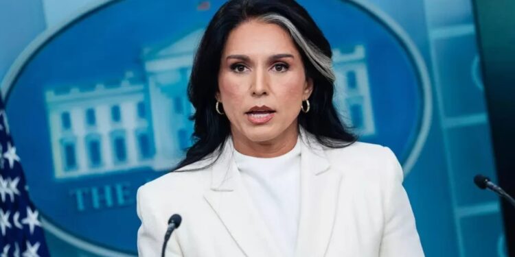 Dimite Tulsi Gabbard como directora de Inteligencia de EU en medio de tensiones políticas