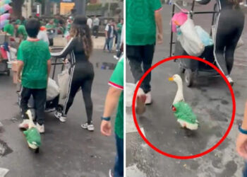 “Merlín”, el pato mundialista que se robó la fiesta del Tri en Reforma