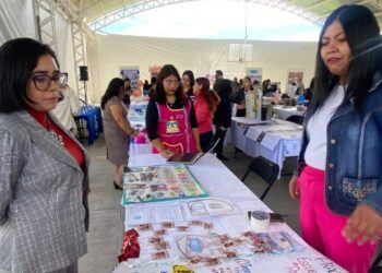 Estudiantes de UPN Hidalgo presentan resultados de prácticas profesionales.
