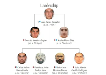 EU asfixia al CJNG: sanciona a más de 50 operadores y empresas