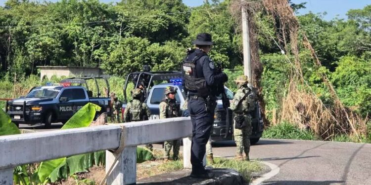 Hallan dos desmembrados en Tabasco y atacan a regidora en Veracruz