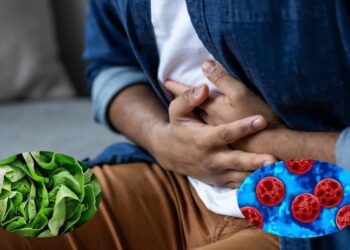 Ciclosporiasis deja dos muertos y miles de infectados en EU