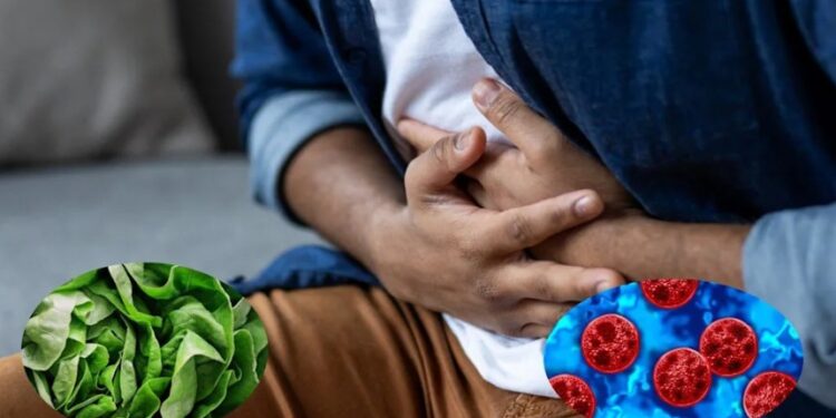 Ciclosporiasis deja dos muertos y miles de infectados en EU
