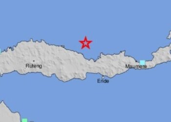 Terremoto de gran magnitud golpea Indonesia; autoridades evalúan daños (VIDEOS).