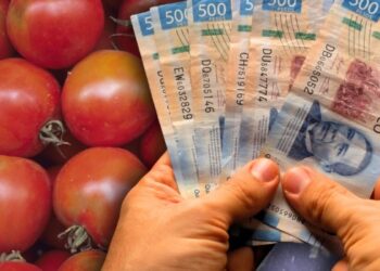 Inflación da un respiro, jitomate y gas LP bajan pero la cebolla se dispara 19%.