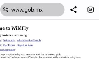¡No fue tu internet! Sitios del Gobierno de México se caen durante hora y media.