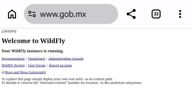 ¡No fue tu internet! Sitios del Gobierno de México se caen durante hora y media.
