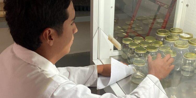ITESHU fue sede del Verano Científico TecNM-CENIDET 2026
