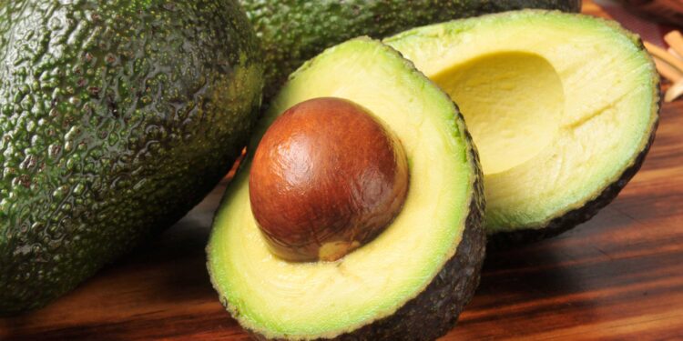 Aguacate mexicano: EU libera 9 mil toneladas de tras acuerdo