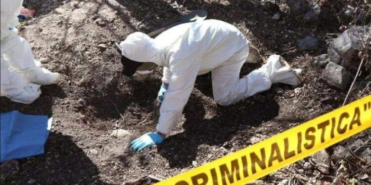 Sexenio de AMLO encabeza hallazgo de fosas clandestinas con el 64% del total