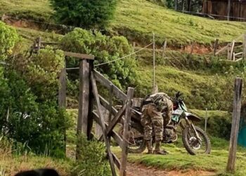 Masacre en Guerrero: la disputa por bosques mata a familia