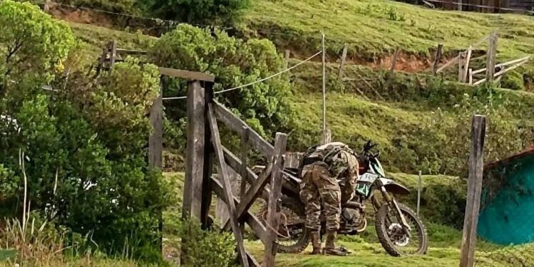 Masacre en Guerrero: la disputa por bosques mata a familia