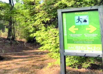 Valle de Bravo exige ayuda al gobierno mexiquense; inseguridad azota Monte Alto