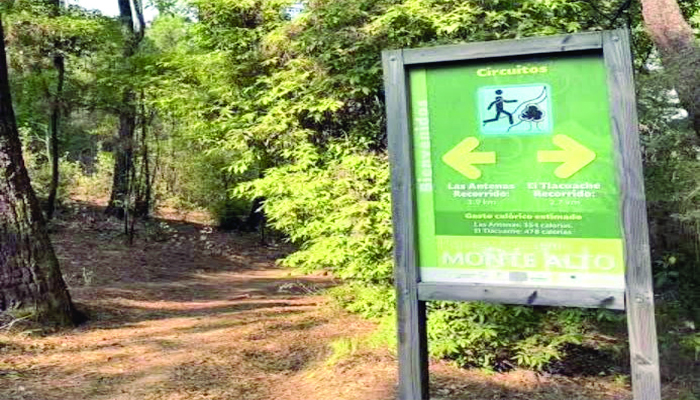 Valle de Bravo exige ayuda al gobierno mexiquense; inseguridad azota Monte Alto