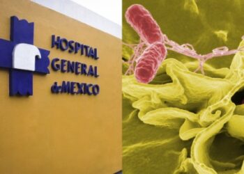 Confirman brote de salmonela en Hospital General de México; 135 médicos afectados.