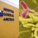 Confirman brote de salmonela en Hospital General de México; 135 médicos afectados.