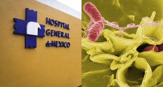 Confirman brote de salmonela en Hospital General de México; 135 médicos afectados.