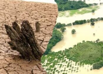 El Niño se fortalece y traerá calor, sequías y desastres