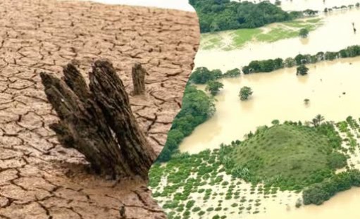 El Niño se fortalece y traerá calor, sequías y desastres