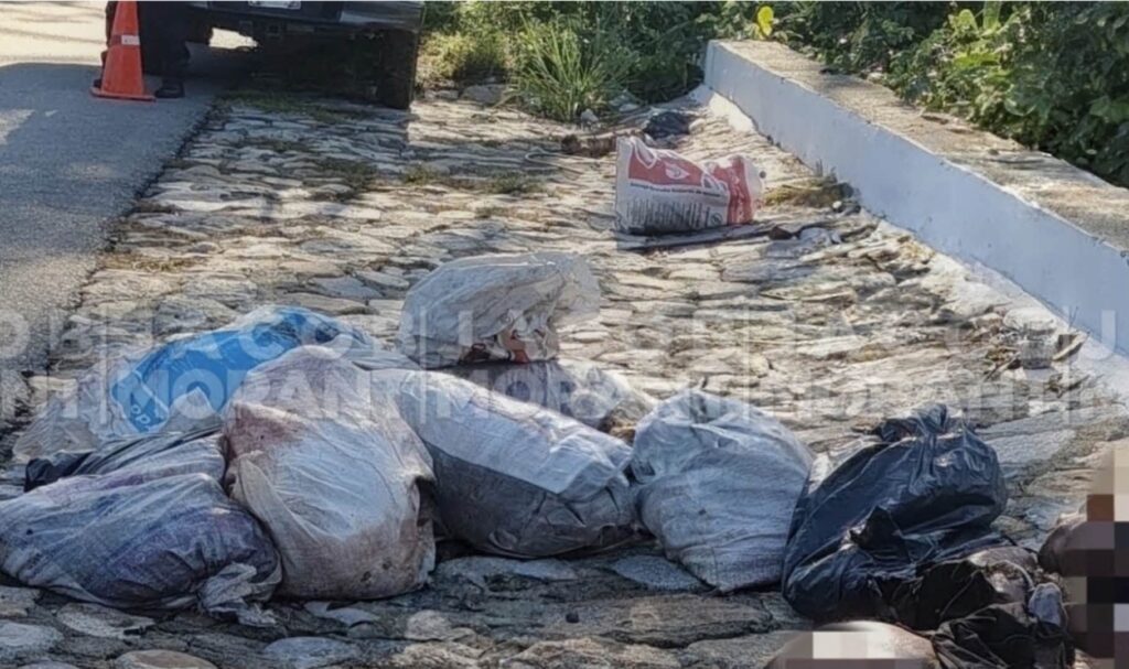Guerrero: hallan 3 cuerpos desmembrados en bolsas y costales