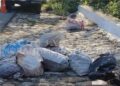 Guerrero: hallan 3 cuerpos desmembrados en bolsas y costales