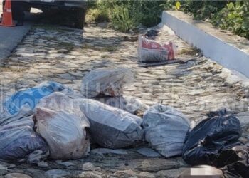 Guerrero: hallan 3 cuerpos desmembrados en bolsas y costales