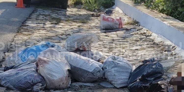 Guerrero: hallan 3 cuerpos desmembrados en bolsas y costales